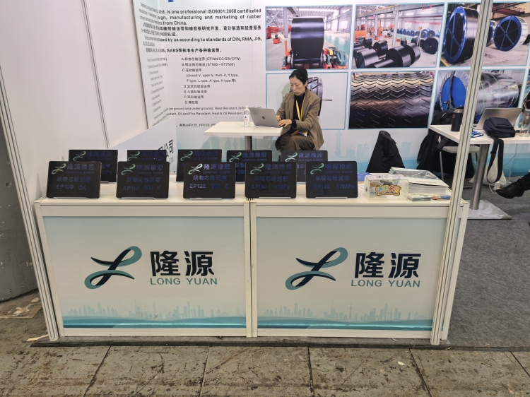 上海寶馬展于今天在上海國(guó)際博覽中心拉開(kāi)帷幕！
